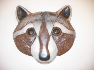 Raccoon