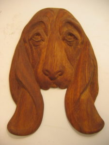 Basset Hound