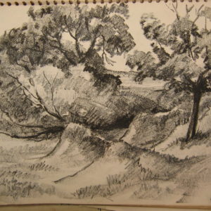 Landscape sketches