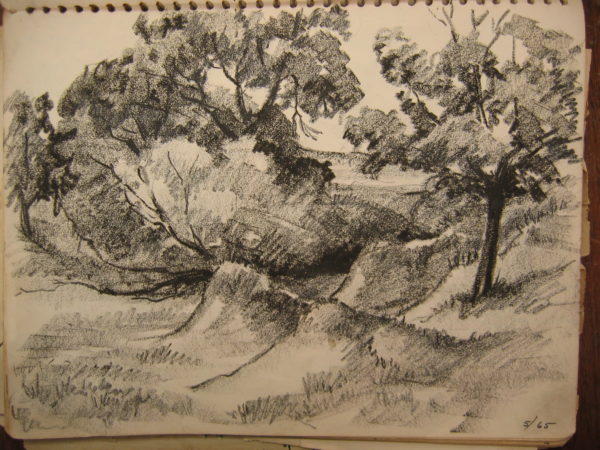 Landscape sketches